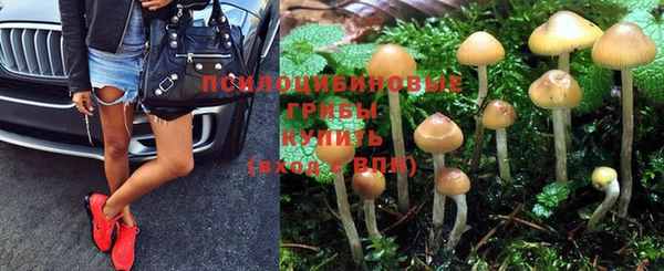 гашик Абдулино