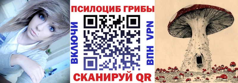 сайты даркнета телеграм  Череповец  Псилоцибиновые грибы Magic Shrooms 